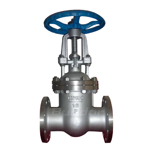 Stainless Steel Gate Valve		